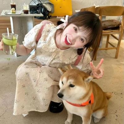 海豚爱上猫